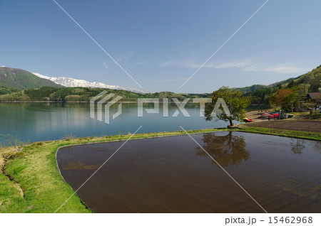信州　安曇野　春の青木湖風景（残雪の白馬アルプス） 15462968