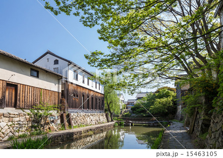 近江八幡・八幡掘 15463105