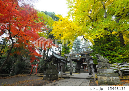 杵築大社   15463135