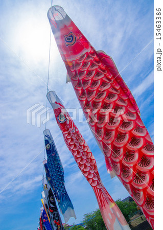 鯉のぼりと光 鯉のぼりと光 15463386