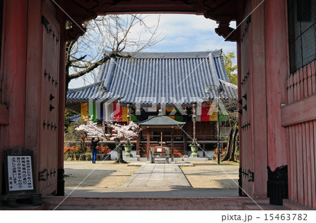 昆陽寺-10 15463782