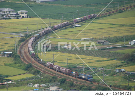 EF210牽引の貨物列車 15464723