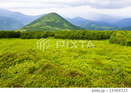 Mountains landscape Mountains landscape 15464725