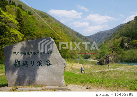抱返り渓谷（秋田県仙北市） 15465299