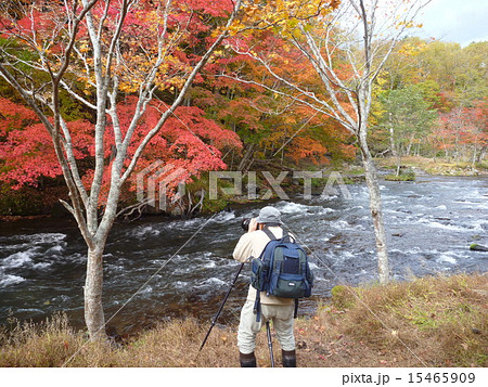 秋の阿寒で紅葉を撮影 15465909