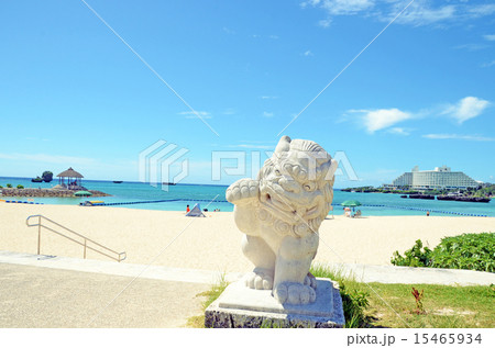 かわいいシーサー 15465934