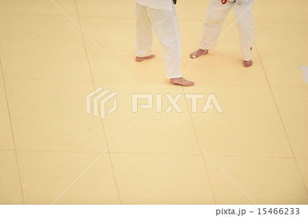 柔道と畳 柔道と畳 15466233