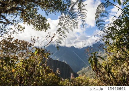 The path leading to Machu Picchu hill The path leading to Machu Picchu hill 15466661