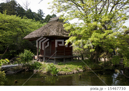 越後乙宝寺 15467730
