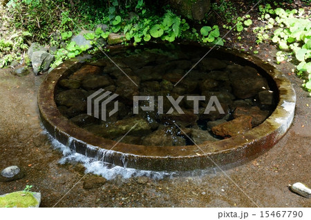 富士山の湧き水 15467790