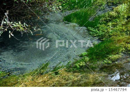 柿田川 柿田川 15467794