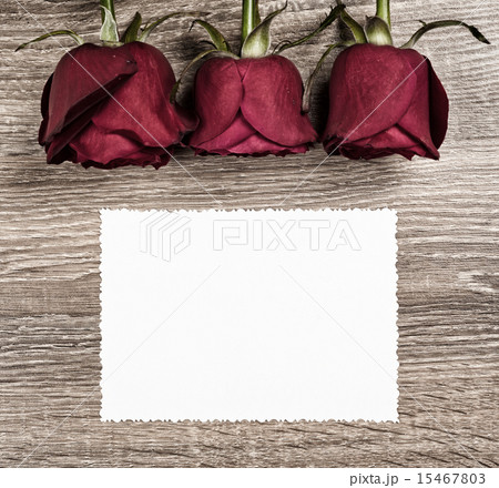 Red rose flower with blank sheet on wood 15467803