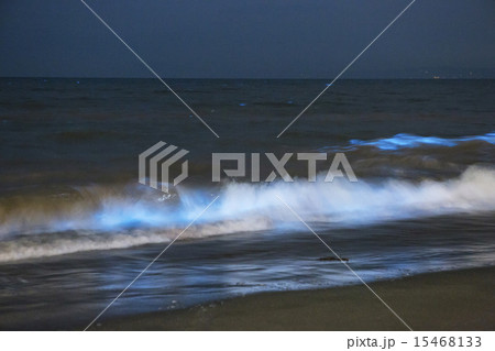 湘南の海と夜光虫の写真素材