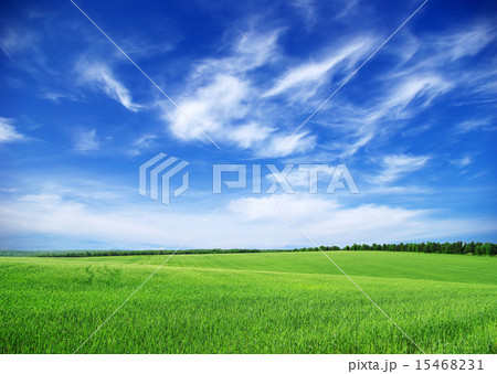 green field 15468231