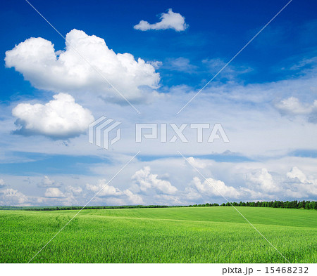 green field 15468232