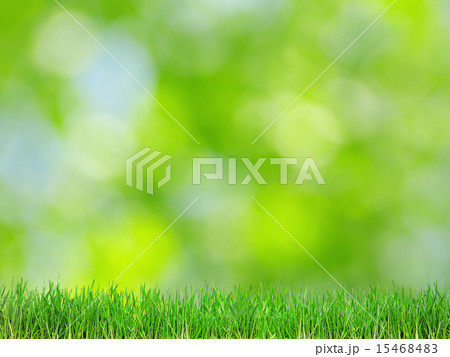 green background green background 15468483