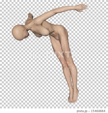Muscle specimen Dive female Synthetic skin full nudity perming 3DCG illustration material 15468664