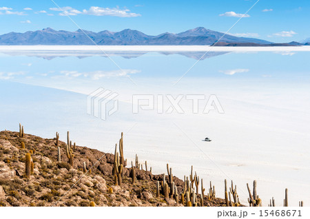 Isla de Pescadores, Salt lake Uyuni in Bolivia 15468671