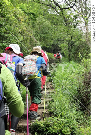 登山 15468757
