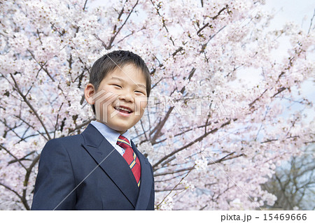サクラと新学期の子供 サクラと新学期の子供 15469666
