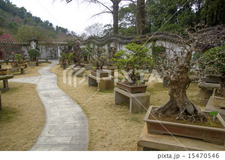 Chinese gardens and bonsai Chinese gardens and bonsai 15470546