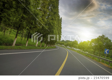 Woods road 15470599