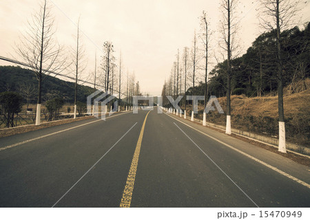 Forest road 15470949