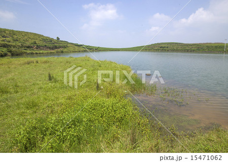 Tea Lakes Tea Lakes 15471062