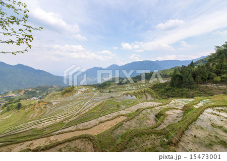 Terraced mountain scenery. 15473001