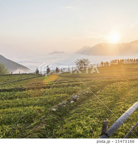 Sunrise Mountain Scenic Corridor 15473166