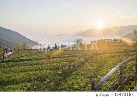 Sunrise Mountain Scenic Corridor 15473167