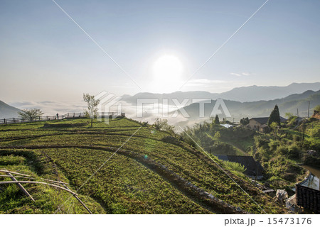 Sunrise Mountain terraced landscape 15473176