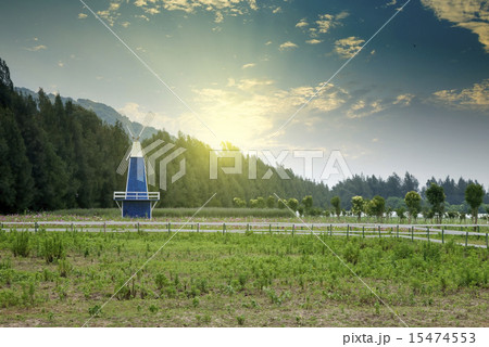 Cosmos wooden windmill Cosmos wooden windmill 15474553