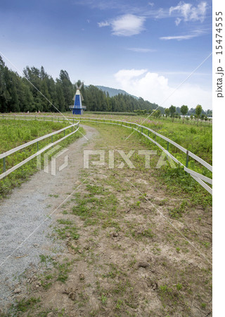 Farm Scenery 15474555