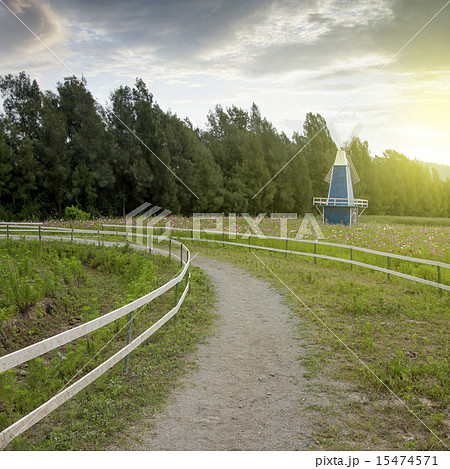 Cosmos wooden windmill 15474571