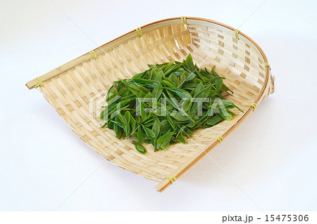 新茶 15475306