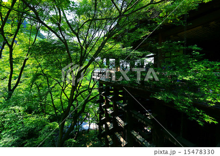 夏の清水寺 緑の木陰の写真素材