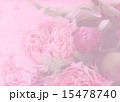 花のカード・ボードなどに・ピンク・カーネーション系ソフト 15478740