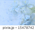 花のカード・ボードなどに・ブルー・洋花系シャープ 15478742