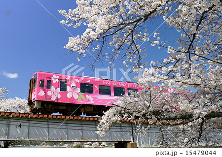 春の錦川鉄道 15479044