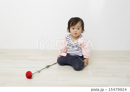 母の日 母の日 15479924