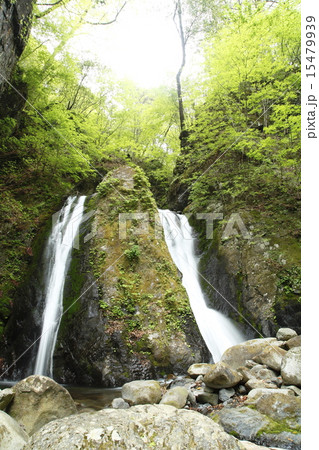 雄滝　　（小菅村） 15479939