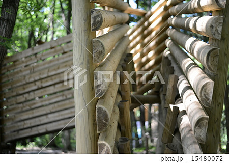 公園 公園 15480072