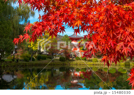 大覚寺門跡と大沢池 大覚寺門跡と大沢池 15480330