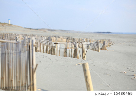 中田島砂丘の防砂柵 15480469