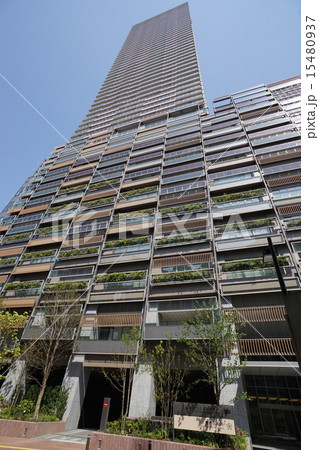 豊島区新庁舎 豊島区新庁舎 15480937