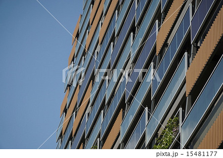 豊島区新庁舎の太陽光パネル 15481177