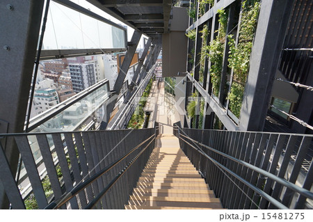 豊島区新庁舎のテラス 15481275