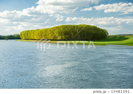 bright summer forest and river. 15481391
