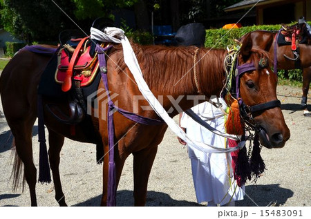 京都 上賀茂神社の競馬会神事(くらべうまえしんじ) 京都 上賀茂神社の競馬会神事(くらべうまえしんじ) 15483091